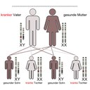 Grafik