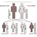Grafik