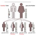 Grafik