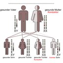 Grafik