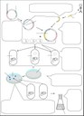 Arbeitsblatt 1