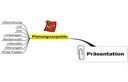 Mindmap