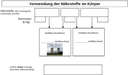 Arbeitsblatt 1 - Bau- und Energiestoffwechsel