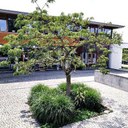 Die Landesakademie in Esslingen