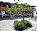 Die Landesakademie in Esslingen