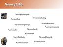neurophilie