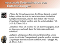 neuronale Determination 3