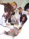 Biologie